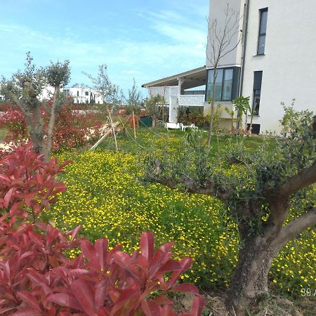 Welcome Beach Apartment Hamallaj Экстерьер фото